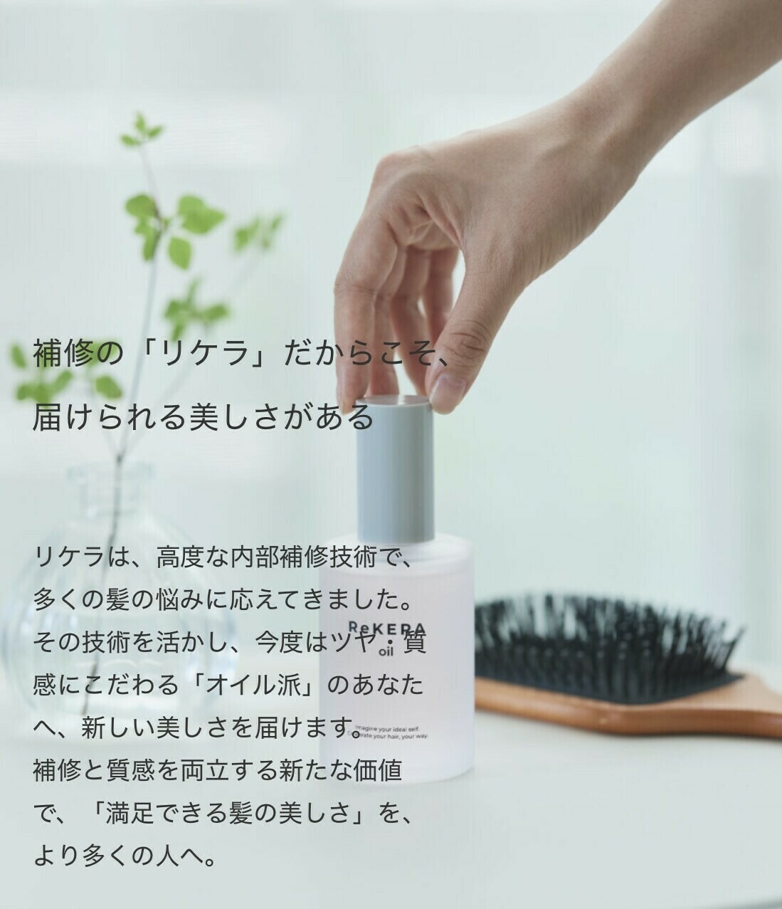 リケラ正規販売店ShellBear