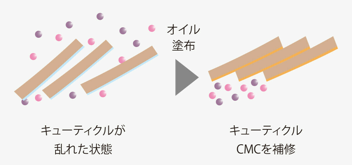 リケラオイル 褪色防止イメージ